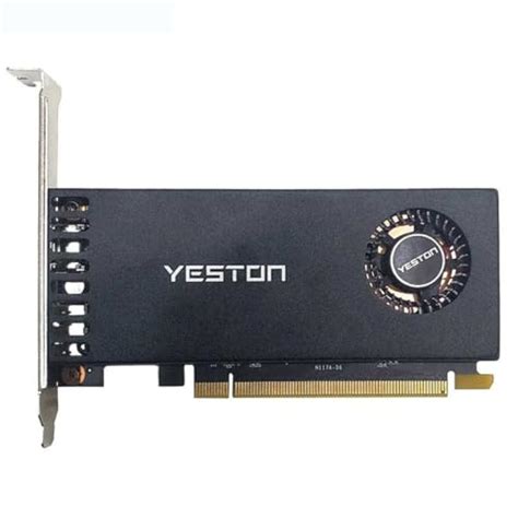 I Tested the Top 5 Best Single Slot Low Profile GPUs – See .